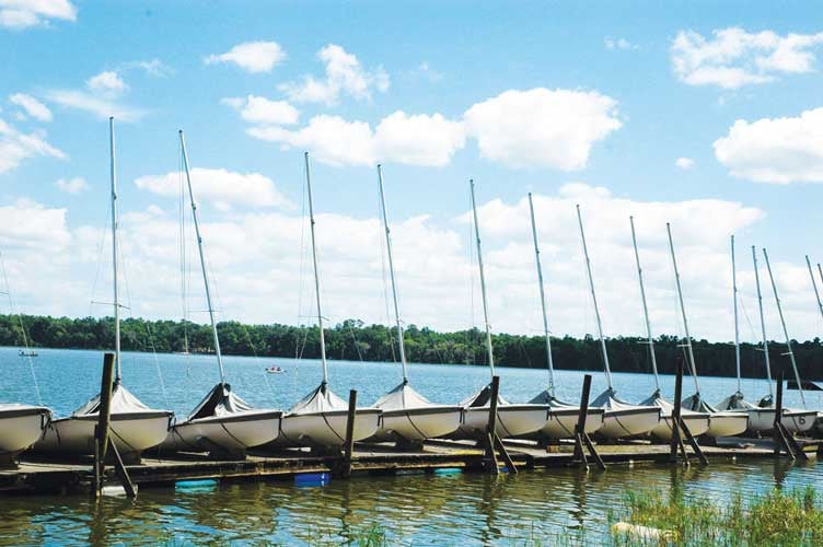Sailboats at Lake Wauberg, UF's own lake where students can sail free of charge