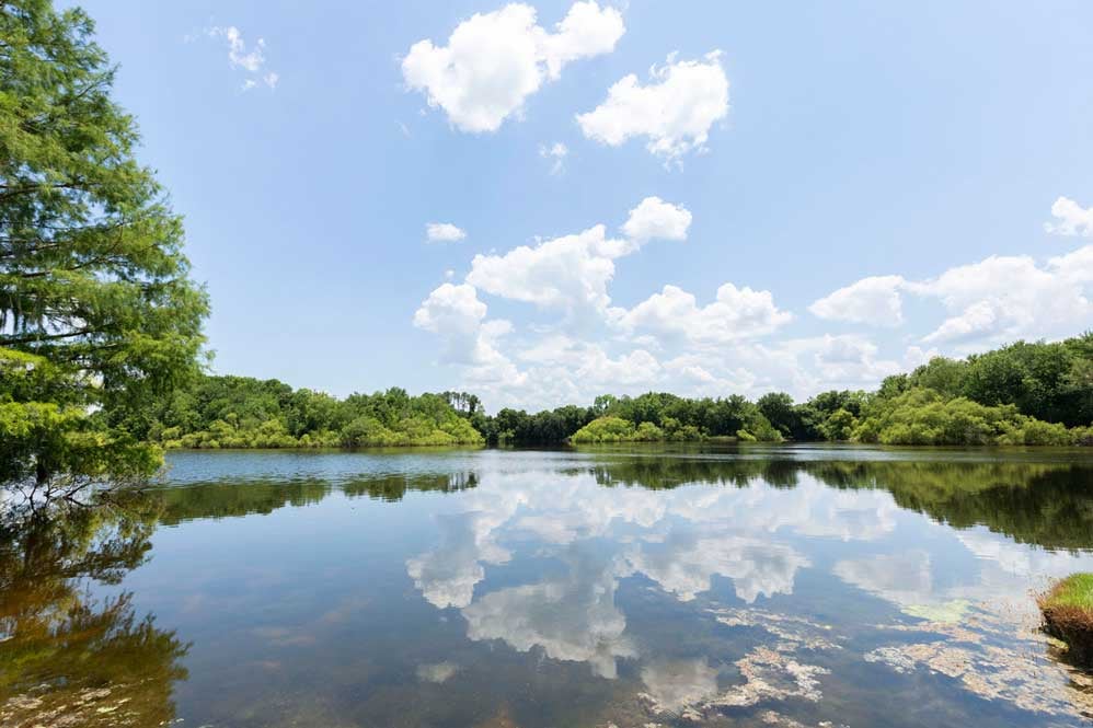Lake Alice on the UF campus, with the clouds and blue sky reflected on the surface of the lake