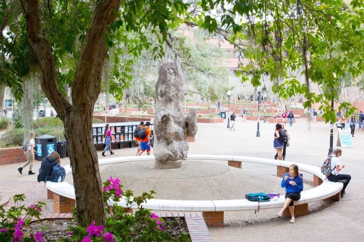 The Turlington Rock, also known as the Potato, located in the brick Plaza of Turlington Hall on the UF Campus. This rock is more than 25 million years old and weighs more than 10 tons