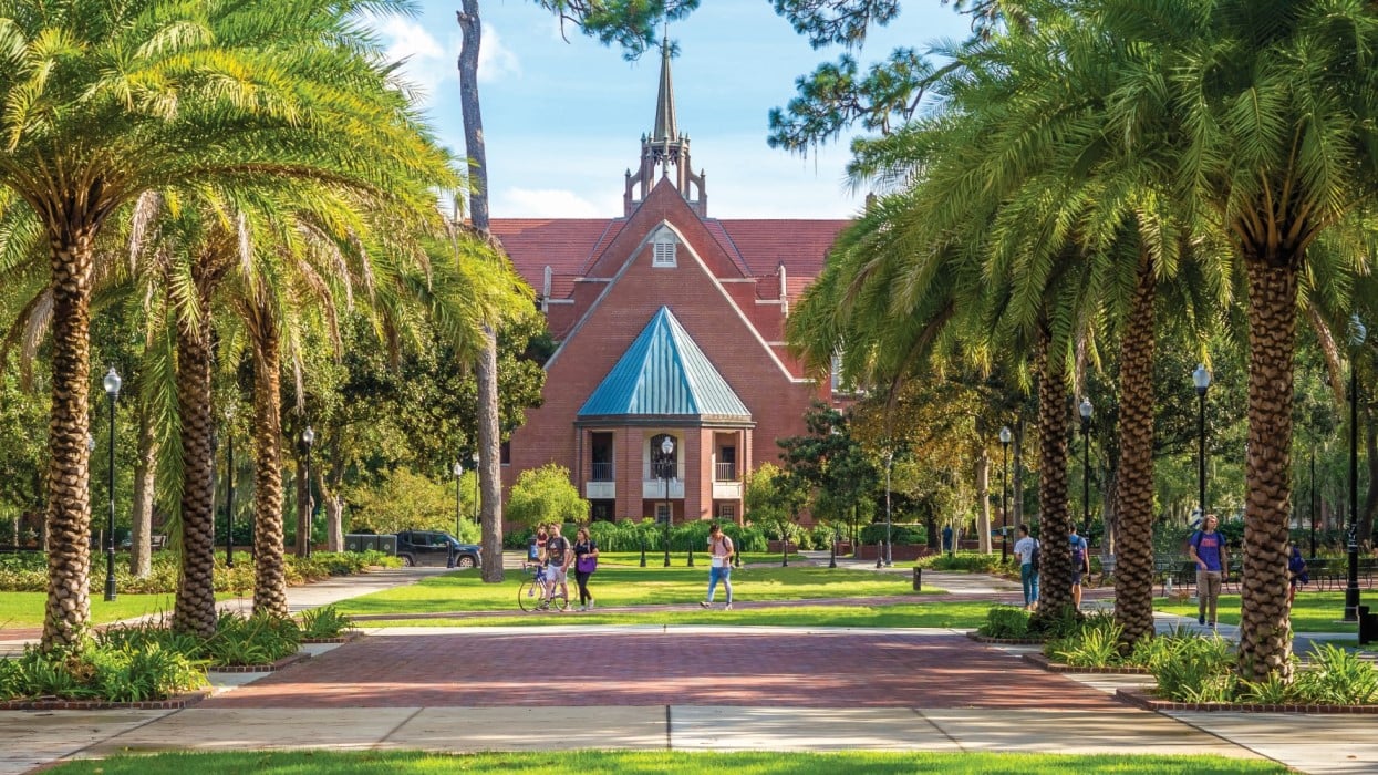 Students walk across the palm-tree lined Plaza of the Americas with the UF auditorium in the distance